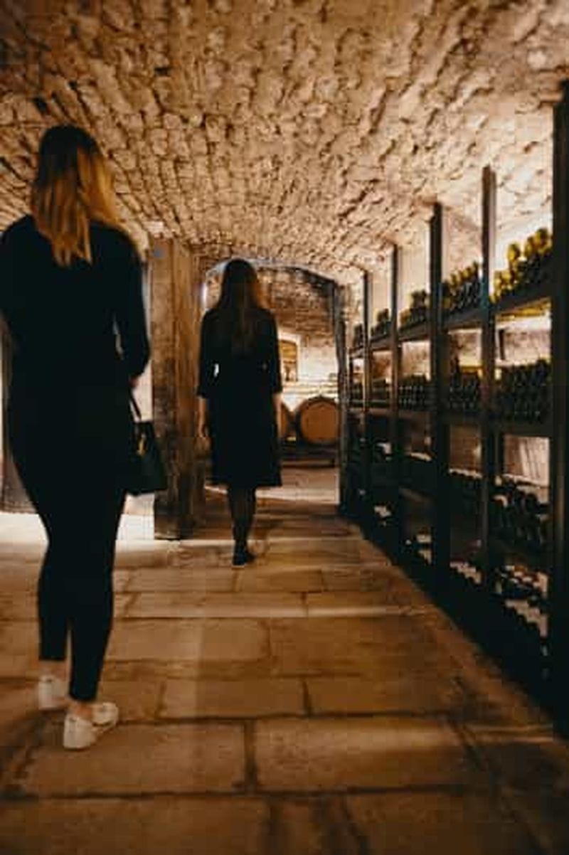 Billet Beaune : Visite guidée des caves de la Maison Champy avec dégustation de vins