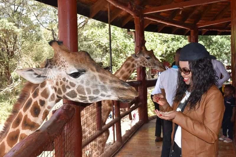 Billet Nairobi : Karen Blixen, Wildlife Trust et visite du Centre des Girafes