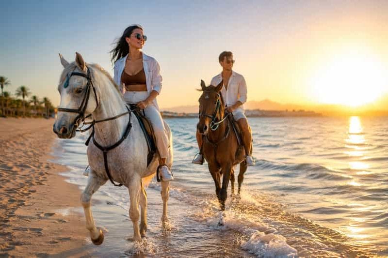 Billet Mer Rouge : excursion à cheval sur la plage et dans le désert avec transfert