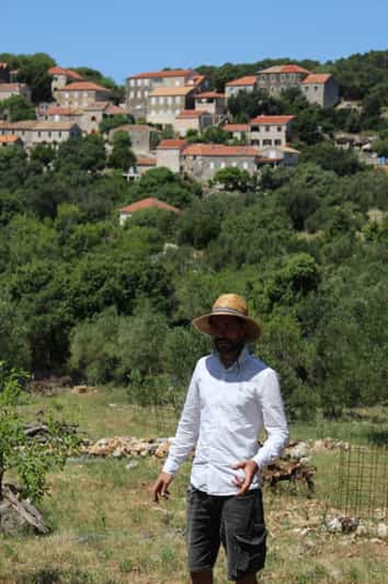 Billet Parc national de Mljet : visite d'une oliveraie