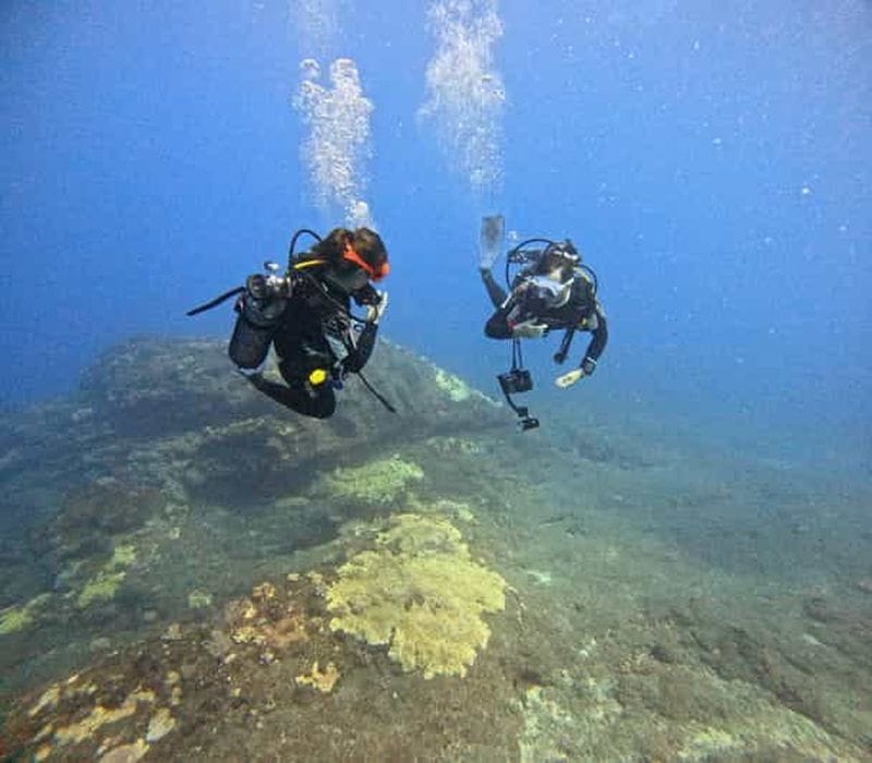 Billet Baptême de plongée à l'île de la Réunion avec Octopus Plongée