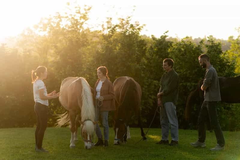 Billet Expérience pour les groupes d'entreprises et les équipes dans la province d'Asti