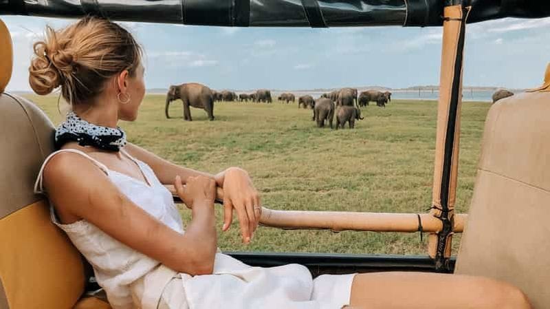 Billet Ella : navette pour Tangalle/Mirissa/Galle avec safari à Udawalawe