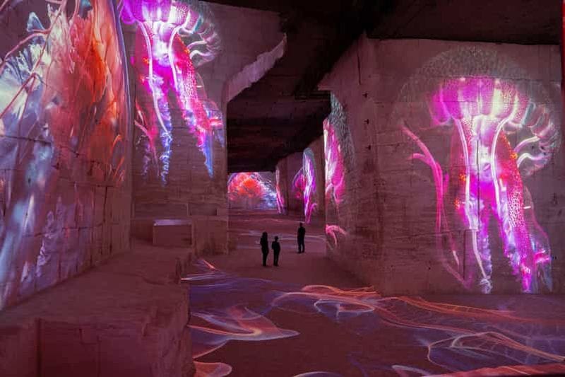 Billet Les Baux-de-Provence : Carrières des Lumières billet Océan