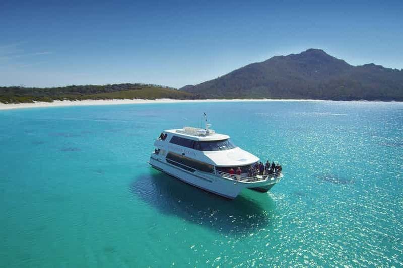 Billet Coles Bay : Croisière pour adultes dans la baie de Wineglass avec déjeuner