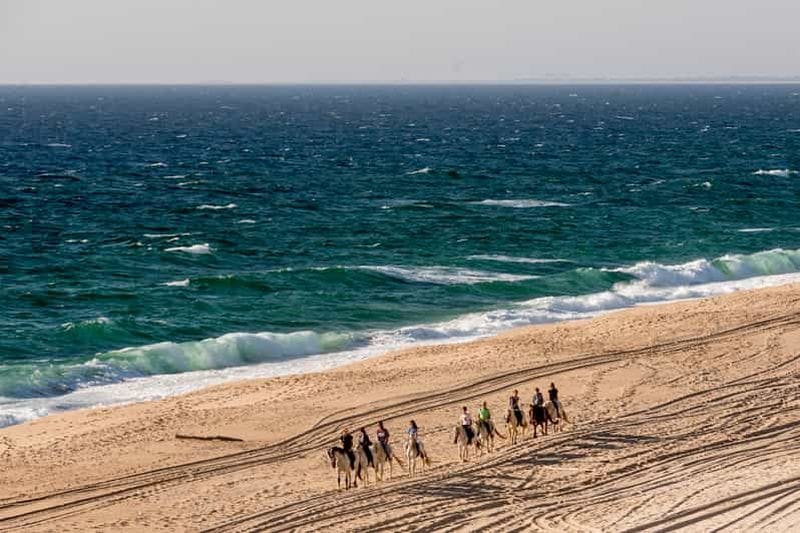 Billet Melides : Équitation sur la plage avec dégustation de vin
