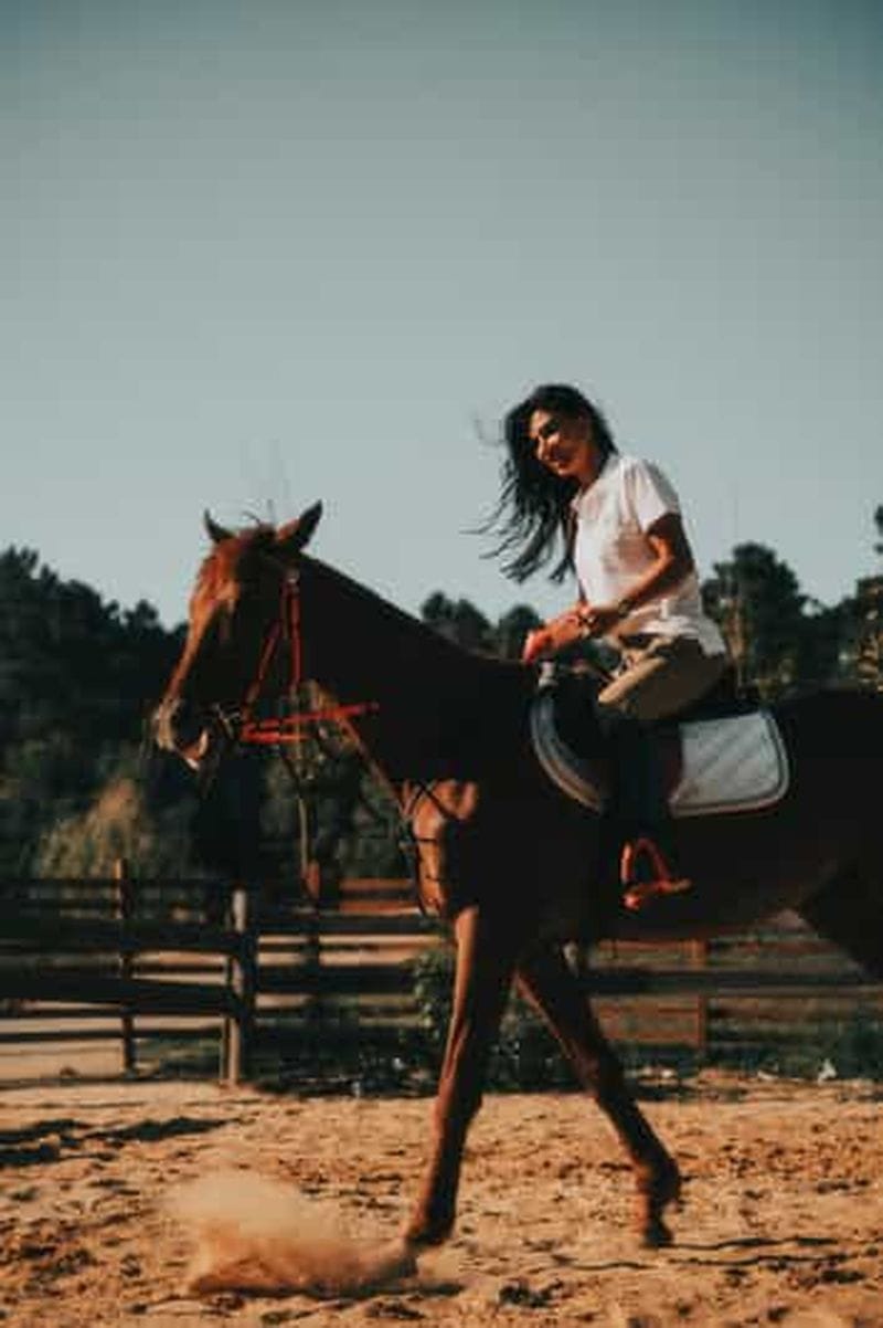 Billet Yucca Valley : balade à cheval privée de 4 heures et pique-nique