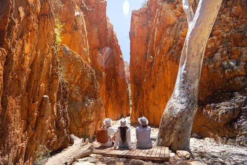 Billet Alice Springs : visite d'une journée des West MacDonnell Ranges avec déjeuner