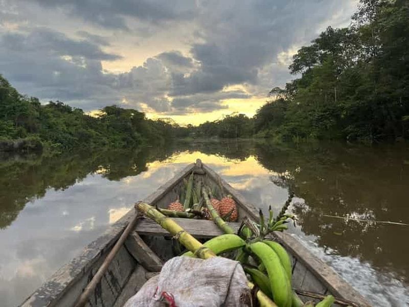 Billet Expérience privée en Amazonie avec des autochtones (près de Leticia)