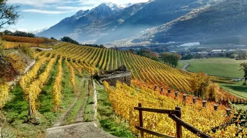 Billet Vallée d'Aoste : Visite et dégustation de vins au domaine Grosjean