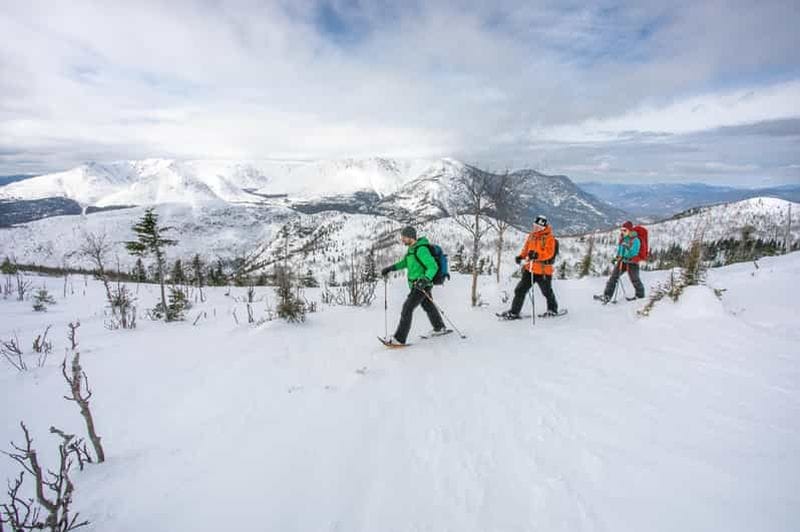 Billet Gaspésie : Billet d'entrée au parc national avec location de raquettes