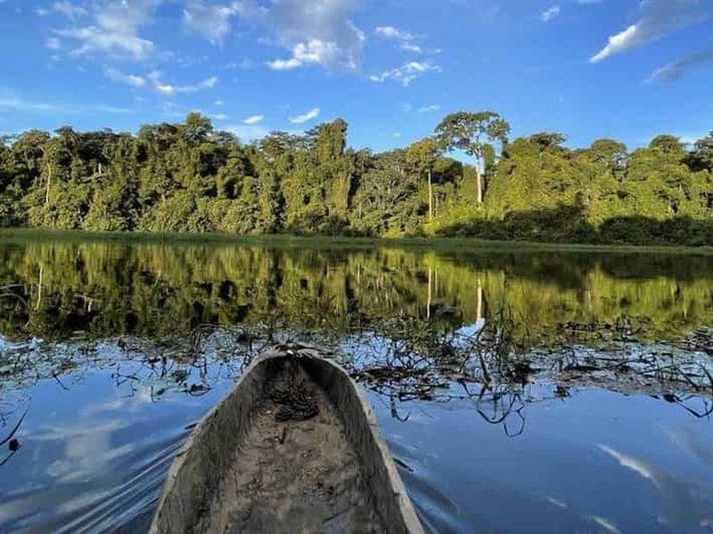 Billet Mbalmayo et Ebogo : excursion authentique entre nature et culture