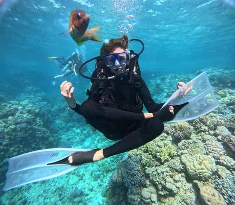 Billet Initiation à la plongée pour débutants et découverte de la mer Rouge sous-marine
