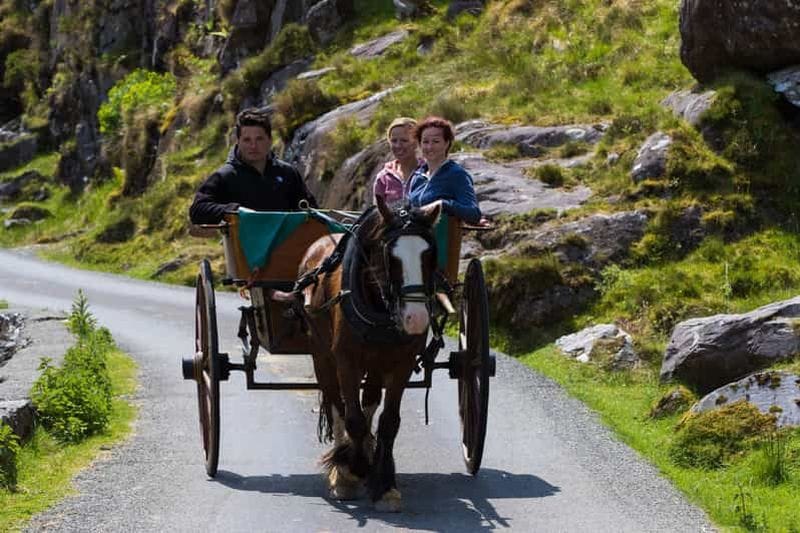 Billet Sortie en bateau au Gap of Dunloe et aux lacs de Killarney