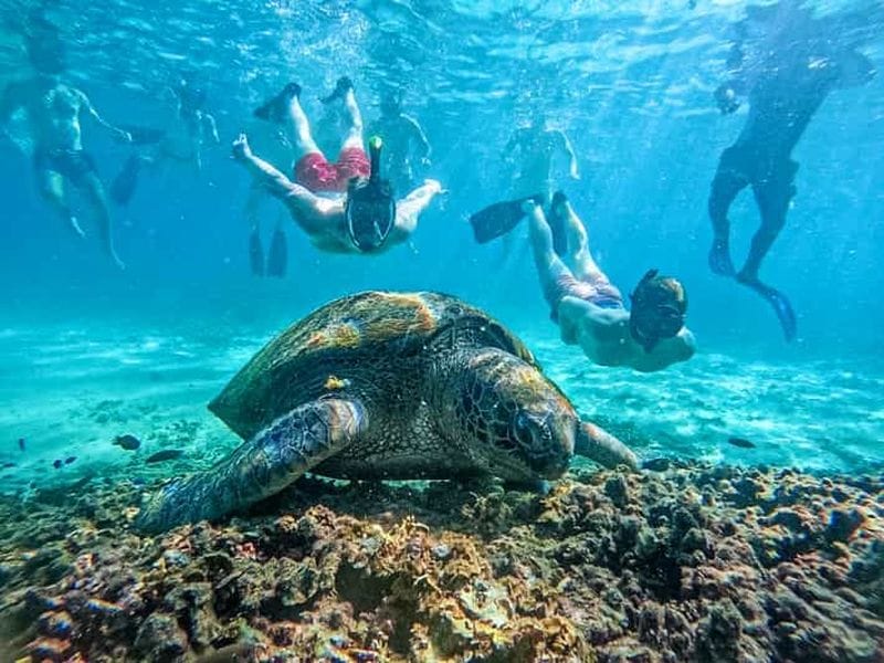 Billet Depuis Koh Tao : snorkeling en petit groupe dans des baies secrètes avec déjeuner