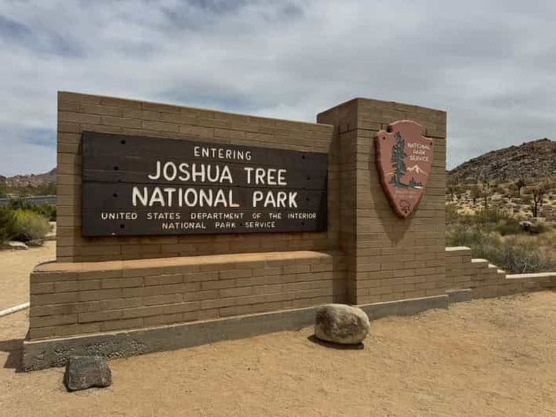 Billet Parc national de Joshua Tree : visite privée d'une journée