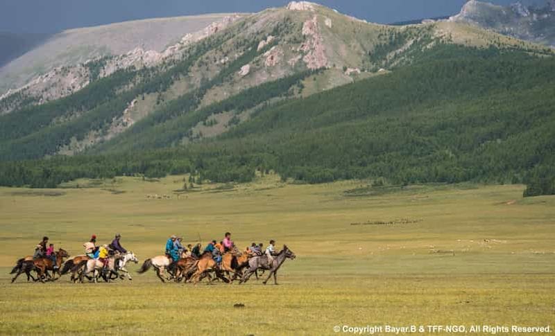 Billet Parc national de Terelj : Circuit avec équitation et randonnée