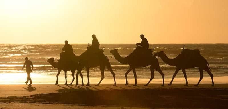 Billet Essaouira : balade à dos de chameau de 2 h sur la plage et dans les dunes