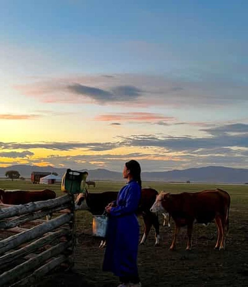 Billet Oulan-Bator : 4 jours d'expérience de la vie nomade avec une famille locale