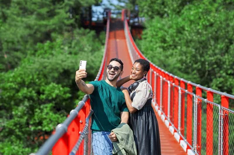 Billet Séoul : visite de la zone démilitarisée avec pont suspendu (facultatif) et musée de la JSA