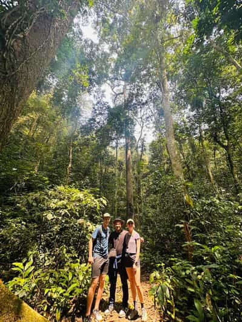 Billet Ninh Binh : randonnée d'une journée dans le parc national de Cuc Phuong, sanctuaire des ours