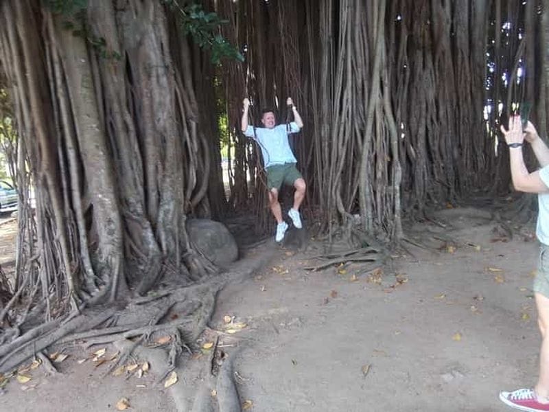 Billet Roseau : Visite de la forêt tropicale, des chutes d'eau et des geysers de Trafalgar.