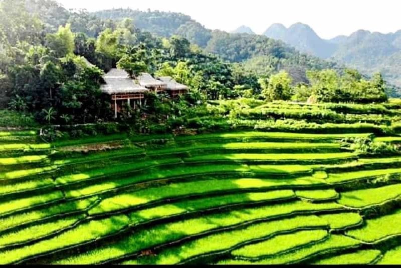 Billet Depuis Hanoï : radeau et trek de 2 jours à Mai Chau et Pu Luong