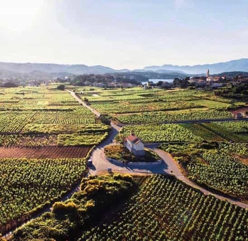 Billet Korčula : visite privative avec dégustation de vin et collations