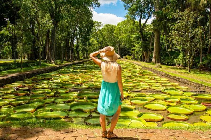 Billet Île Maurice : visite privée d'une journée des lieux emblématiques pour Instagram