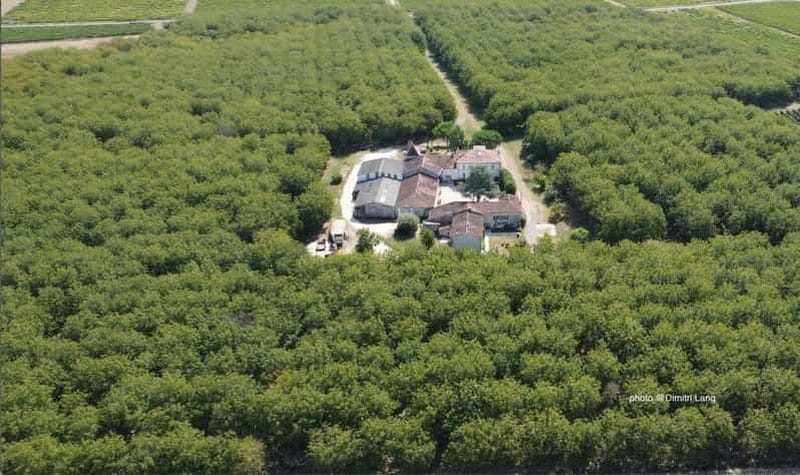 Billet Visite-Dégustation Privée en immersion à la Noyeraie