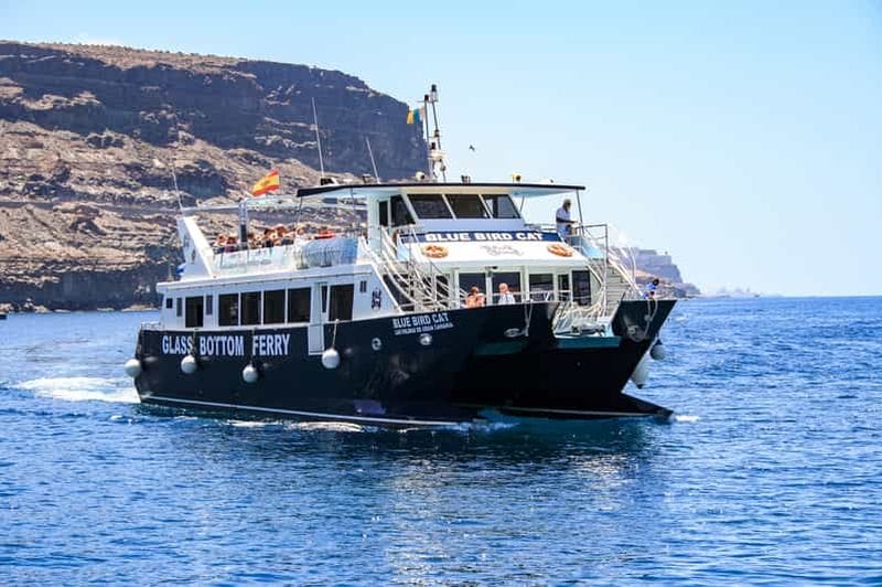 Billet Grande Canarie : croisière aux dauphins en catamaran et snorkeling