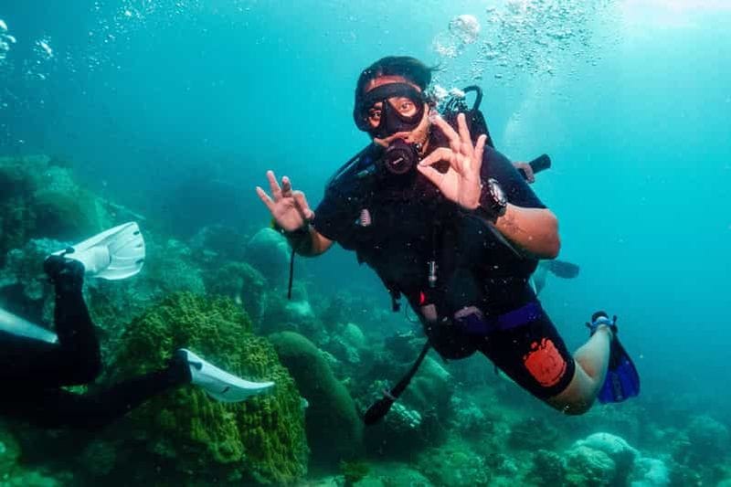 Billet Koh Tao : expérience d'une journée de plongée sous-marine avec prise en charge à l'hôtel