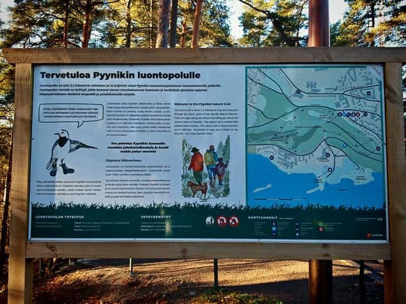 Billet Tampere : promenade sur la crête de Pyynikki avec donut et boisson