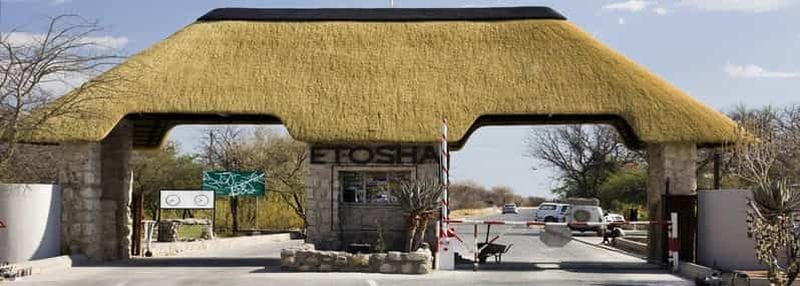 Billet Parc national d'Etosha:Transport et visites du parc d'Etosha