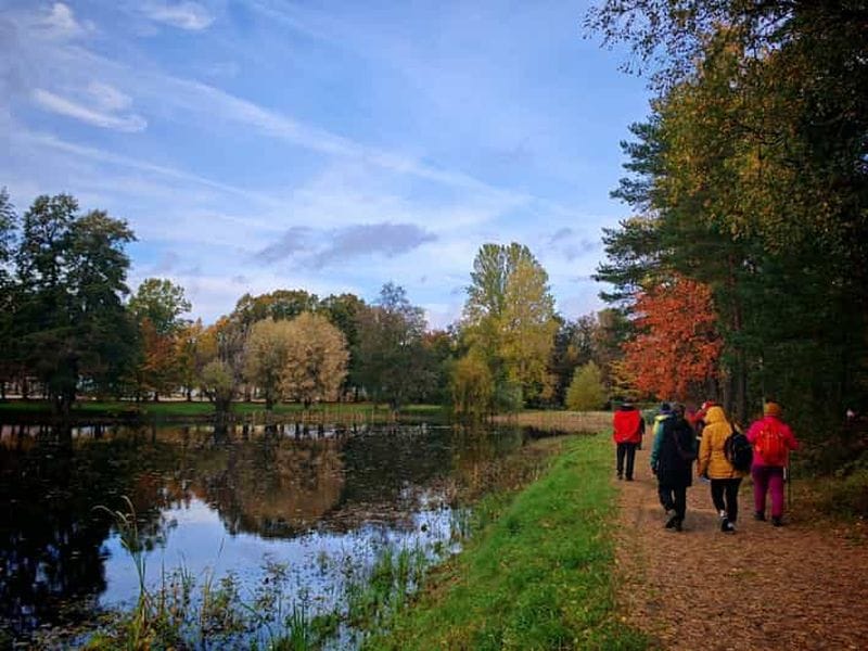 Billet Visite privée de l'esprit de la forêt à Tampere