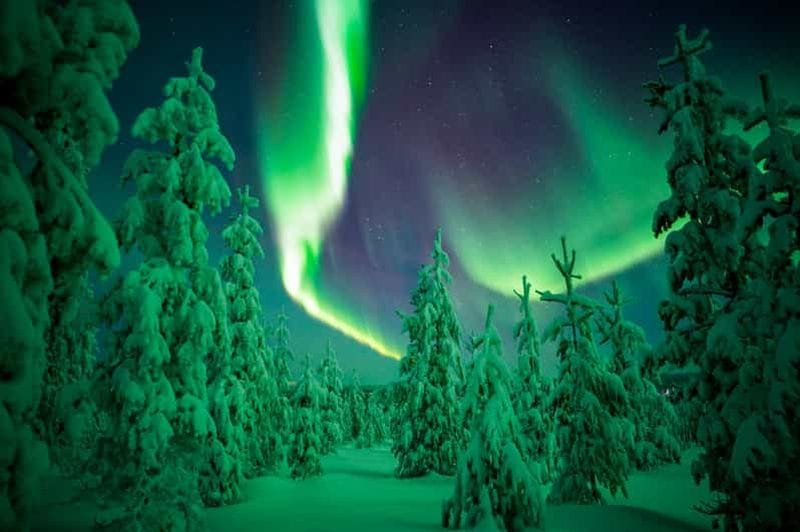 Billet Rovaniemi : excursion en petit groupe dans la nature sauvage pour admirer les aurores boréales