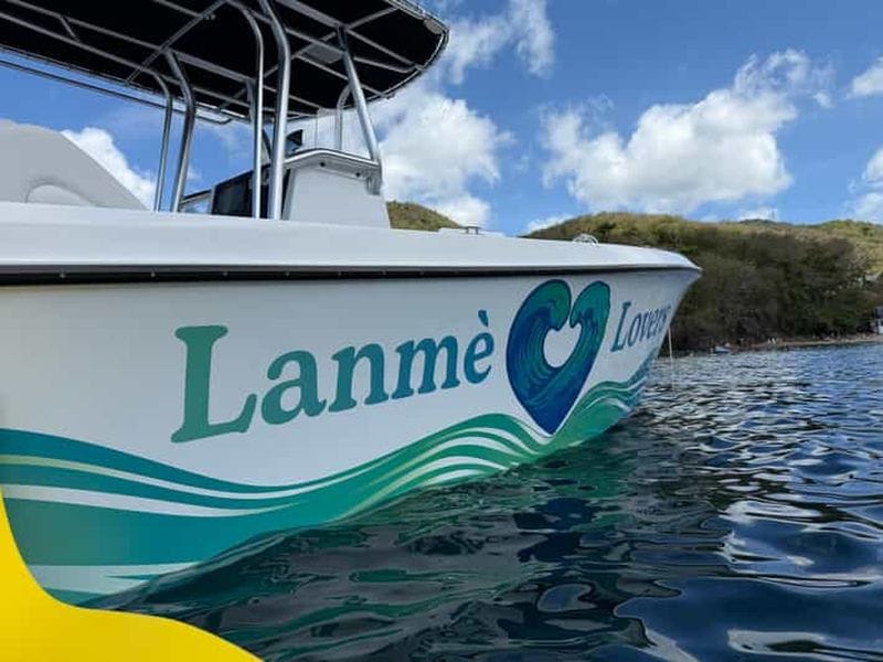 Billet Martinique : demi-journée en mer: snorkeling & nage avec les tortues, apéro