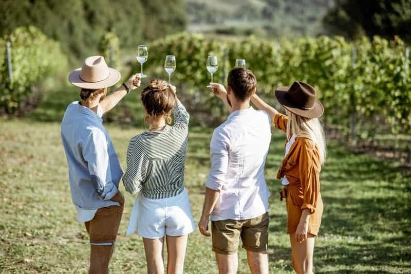 Billet Taormina : visite guidée d'une demi-journée avec dégustation de vins de l'Etna