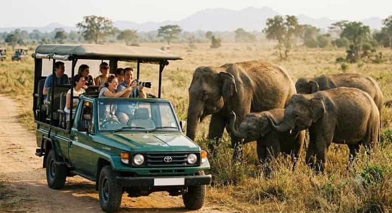 Billet Parc national d'Uda Walawe : safari privé en Jeep tout compris