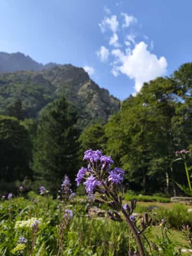 Billet Le jardin Royal, visite du jardin botanique « Valderia »