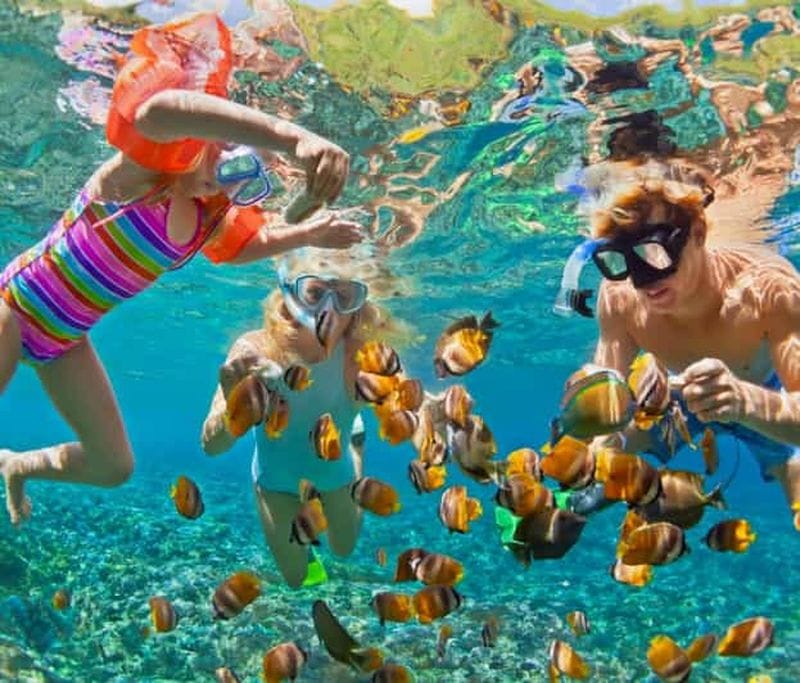 Billet Cartagena : snorkeling aux îles du Rosaire, aquarium et déjeuner