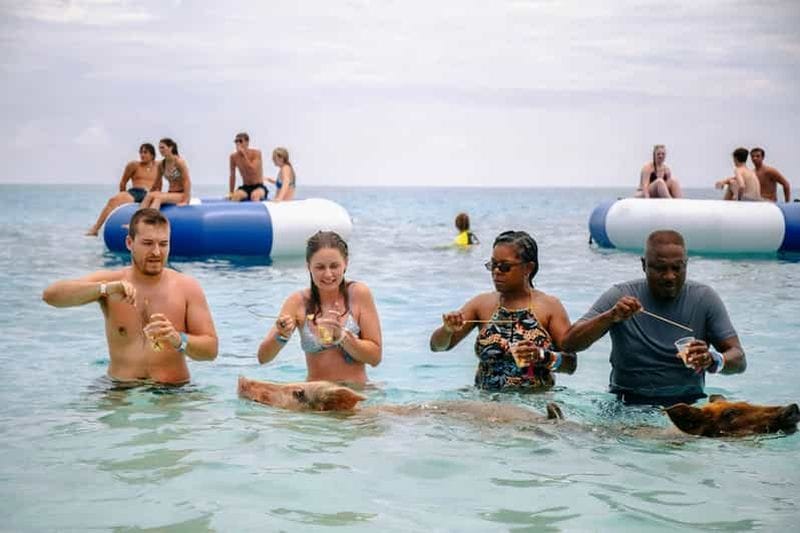 Billet Nassau : les cochons nageurs de Rose Island en bateau-taxi