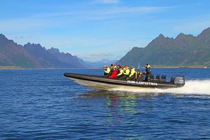Billet Au départ de Svolvær : safari en zodiac Sea Eagle dans les Lofoten et croisière dans le Trollfjord