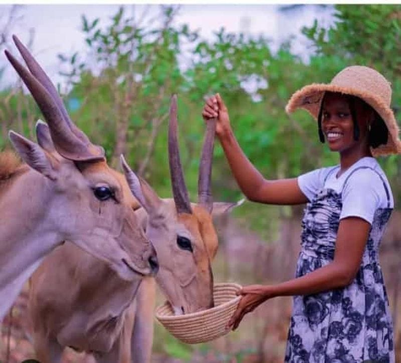 Billet Parc animalier Zakir de Zanzibar : nourrir les girafes et les zèbres + entrée