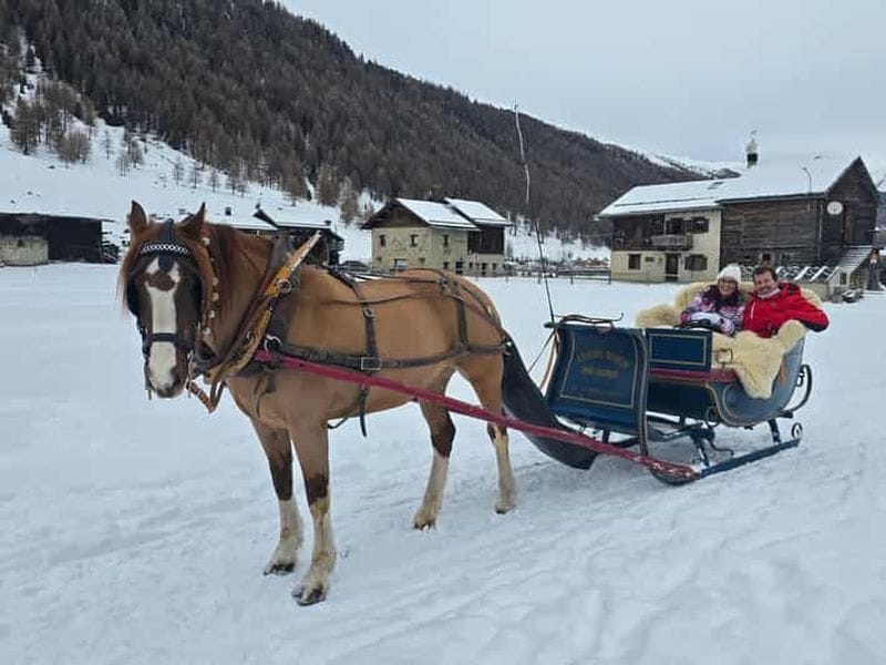 Billet Livigno : promenade en traîneau tiré par des chevaux avec des couvertures