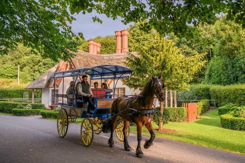 Billet Killarney : visite d'une heure en calèche