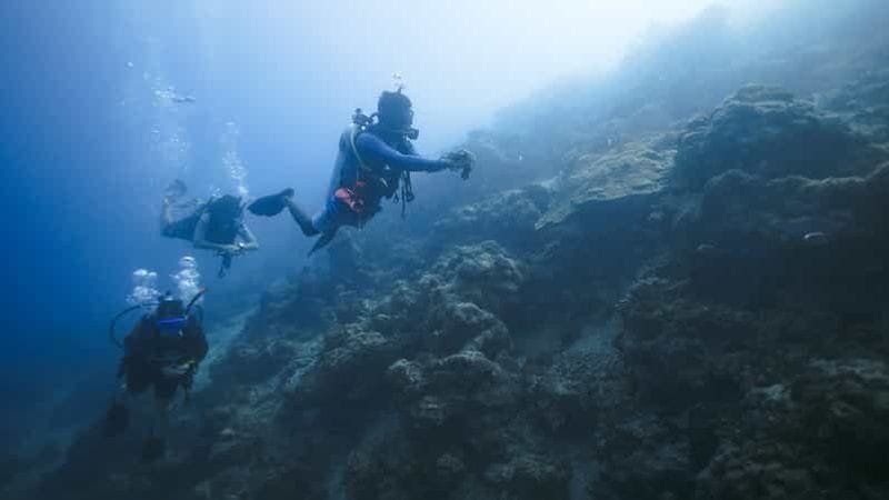 Billet Andaman : plongée sous-marine à Havelock par le centre de plongée PADI 5 étoiles