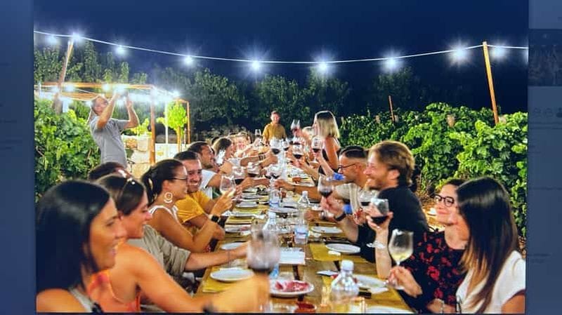 Billet Dîner dans le vignoble et dégustation de vins sous les étoiles