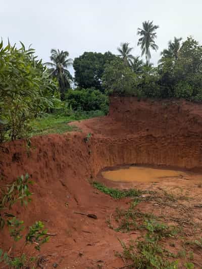 Billet Depuis Zomba : randonnée guidée sur le plateau de Zomba