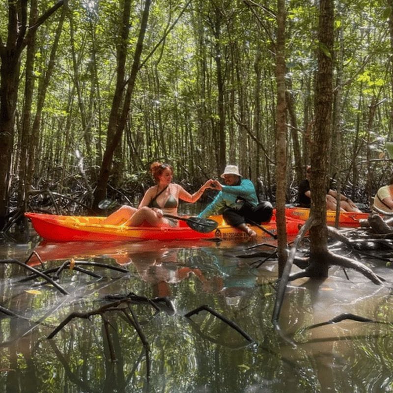 Billet Ko Lanta : excursion d’une demi-journée en kayak à la découverte de la mangrove et de la vieille ville